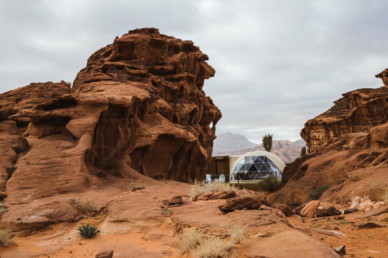 Palmera Camp Wadi Rum Exteriör bild